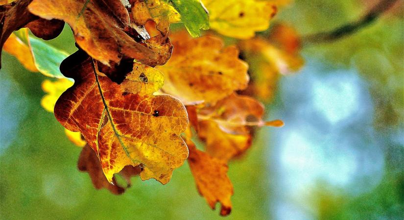 Időjárás 2025. november 7.: Napos reggel után akár záporos délután is várhat ránk