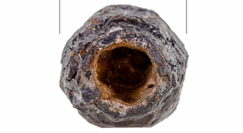 Árpád-korból származó, rejtélyes fegyverek kerültek elő a föld alól