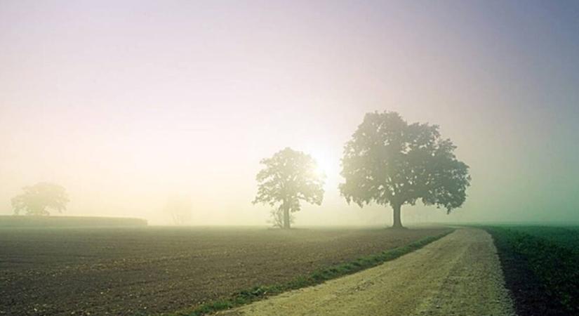 Köd, nyirkos idő, vagyis ősz a javából