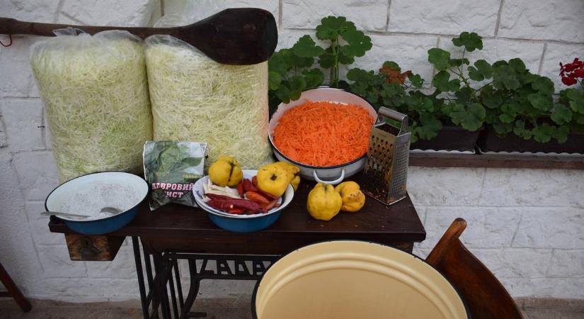 Téli ízek, régi illatok, közösségi emlékek - A savanyú káposzta dicsérete