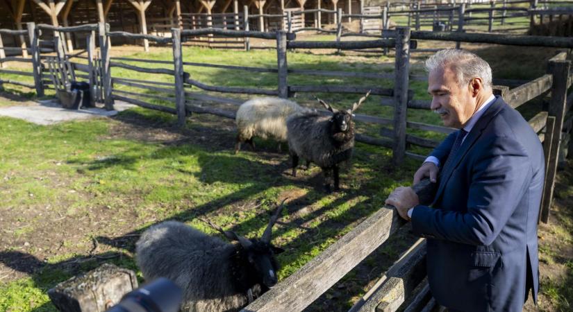 A Nemzeti Parkokban megvalósuló fejlesztések az állami természetvédelem legfontosabb ezközei közé tartoznak