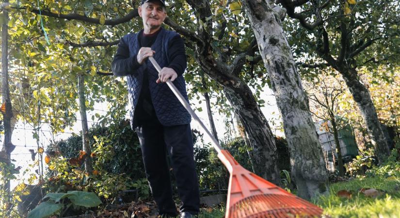 Mit kezdjünk a lehullott falevelekkel? - Tanácsok az avar kezelésére