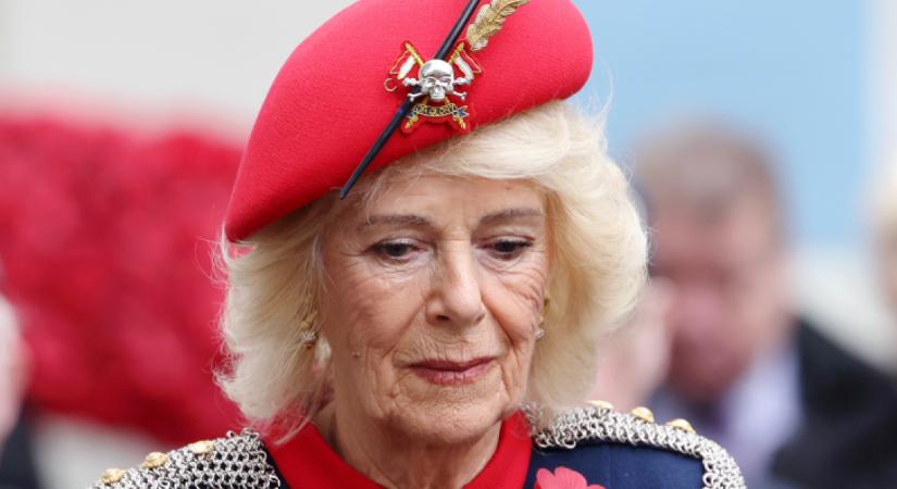 Kamilla megalázva érzi magát attól, amit Katalin és Vilmos tesz vele