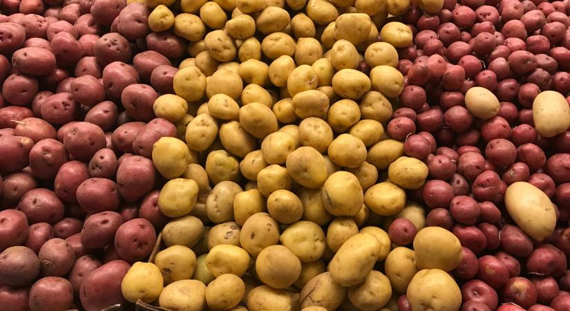 Gigaberuházás Ukrajnában: óriási feldolgozóüzem épül a szomszédban