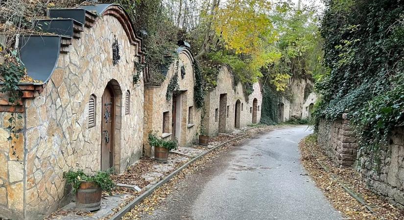 Szurdik és Nyúli Pincesor – útvonal a múlt és a bor világába