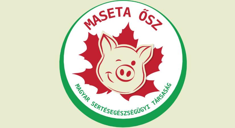 MASETA Ősz 2025