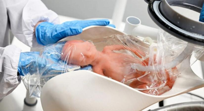 Mesterséges méh segítségével mentené meg a koraszülött babákat egy holland cég