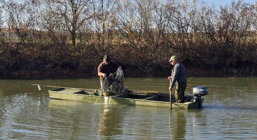 Majd megsüllyedt a ladik: ezekkel az élőlényekkel merték tele a halászok