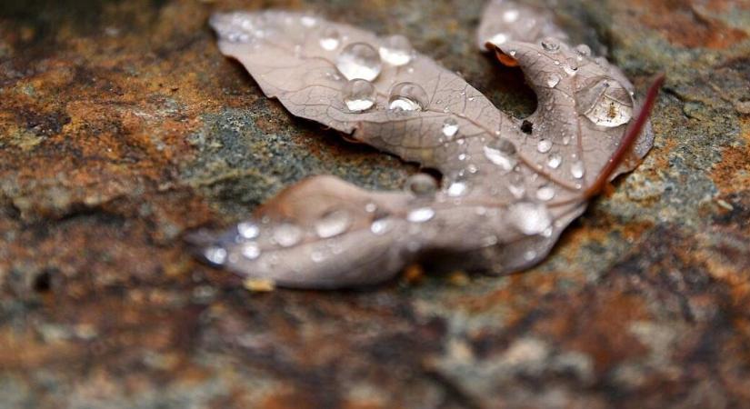 Ennyi csapadék pótlódik vissza a következő egy hétben, az Alföldön gazdálkodók fellélegezhetnek