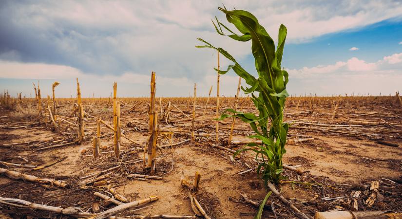 Rekordhőmérsékleteket mértek az elmúlt három évben
