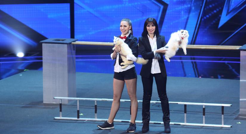 Ilyen elképesztő trükkökre is meg lehet tanítani a macskákat (videó)