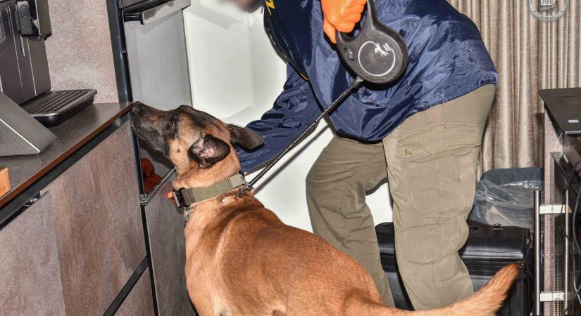 Nagy mennyiségű kábítószer-alapanyag behozatala miatt vettek őrizetbe két férfit