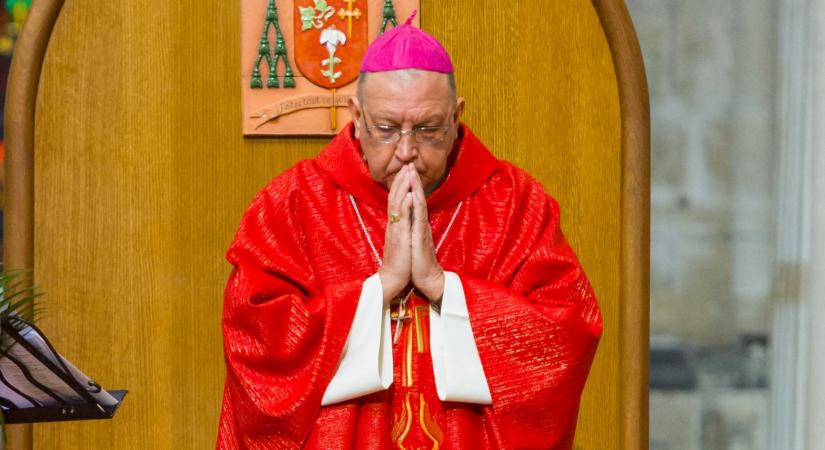 A francia püspöknek 7 éven át tartó viszonya volt egy nővel. A pápa sürgetésére lemondott