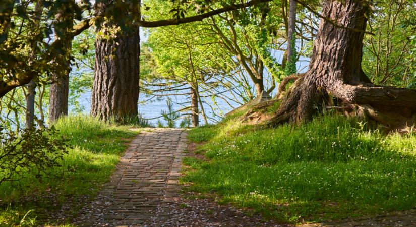 Minden út Nagyatádra vezet?