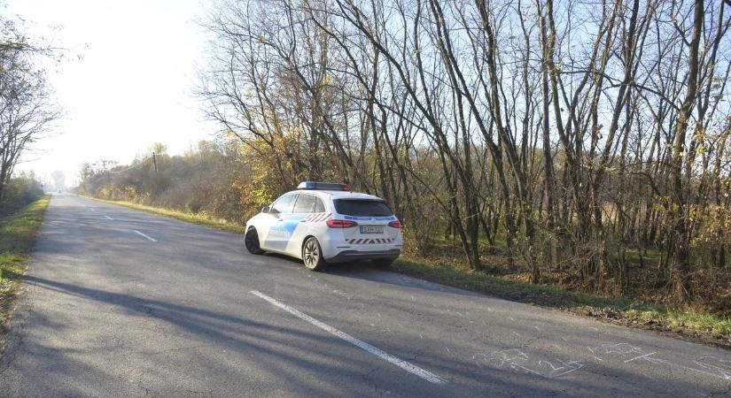 Őz az árokban: vadbaleset a Beregben (fotókkal)