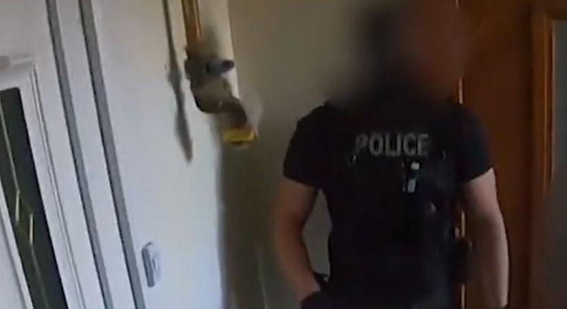 Lecsaptak a kommandósok Baranyában, durva ügyet tártak fel - VIDEÓ