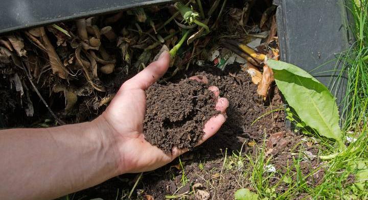 Gusztustalan élősködő próbál áttelelni a magyar kertekben: így védekezz ellene