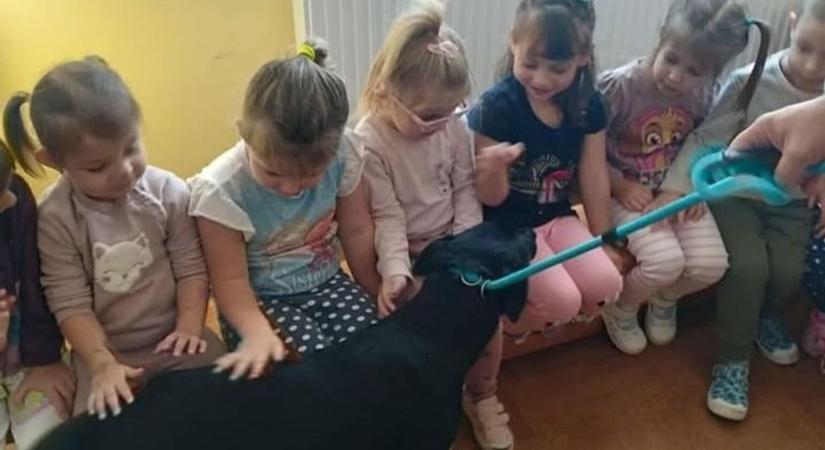 Cuki imádta a rengeteg simogatást!