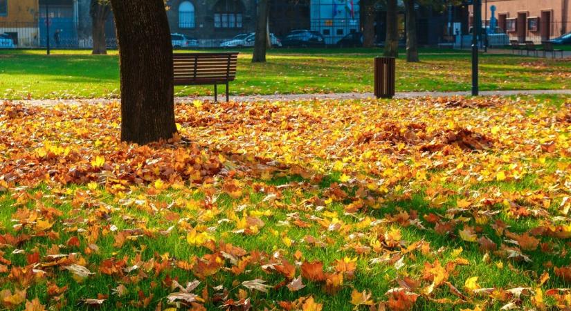 Még tartja magát a november, de hétvégén már nem lesz olyan jó idő