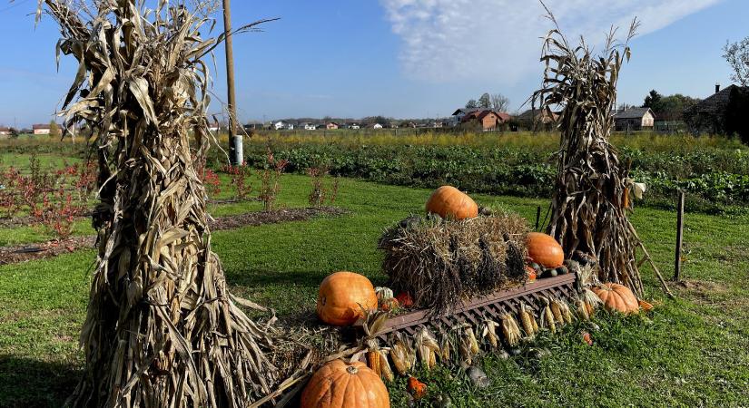 Gazdaság összhangban a természettel