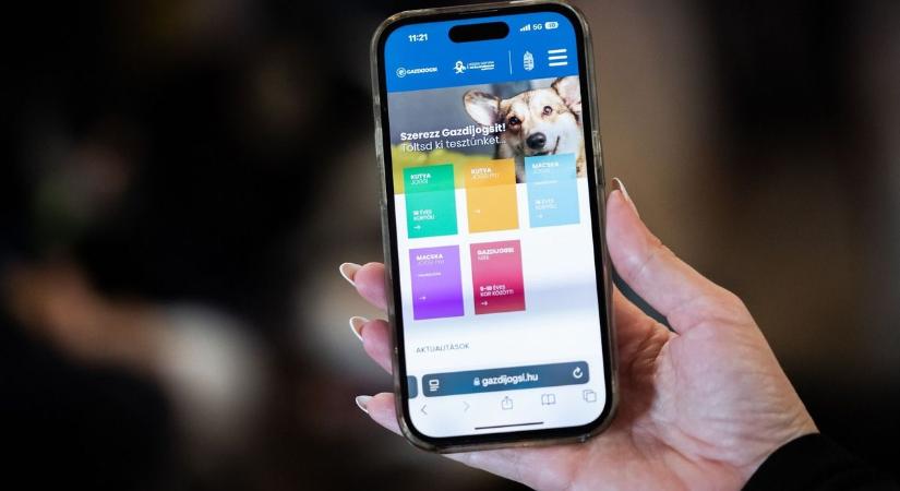 Megújult a Gazdijogsi – mostantól minden gazdi ingyen tanulhat felelős állattartást