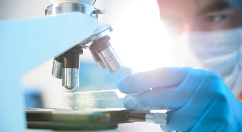 Durva járvány terjed Magyarország határában