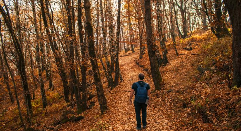 17 dolog, amit minden nőnek érdemes tudnia a férfiakról