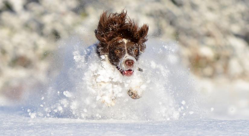 Hamarosan érkezhet az első hó: itt az első esélyes időpont!