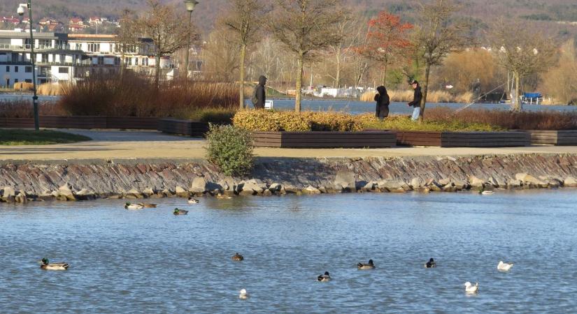 Nem működik a BalatonHelp, mutatjuk a számot, amit lehet hívni