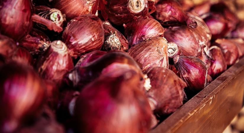 Házikerti pincék titkai – mit tárolj, mit ne?