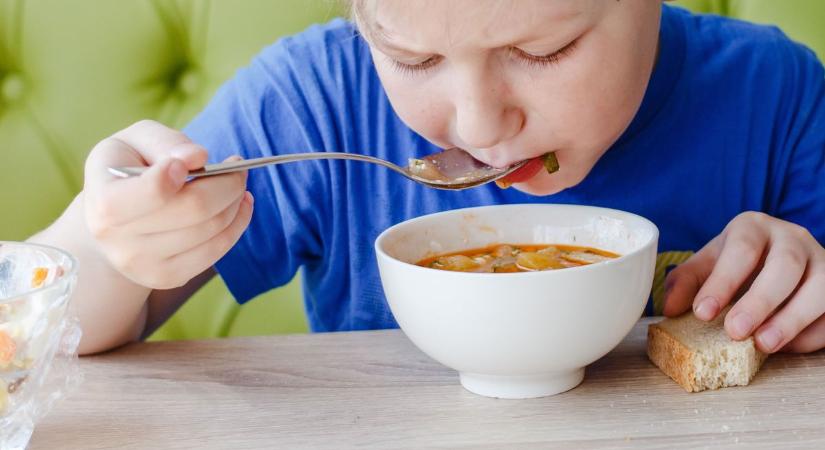 Rendben működik a gyermekétkeztetés Szolnokon a polgármester szerint