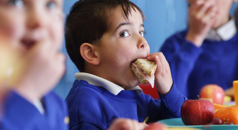 47 gyermek került kórházba ételmérgezés miatt, kiemelt ellenőrzés következik