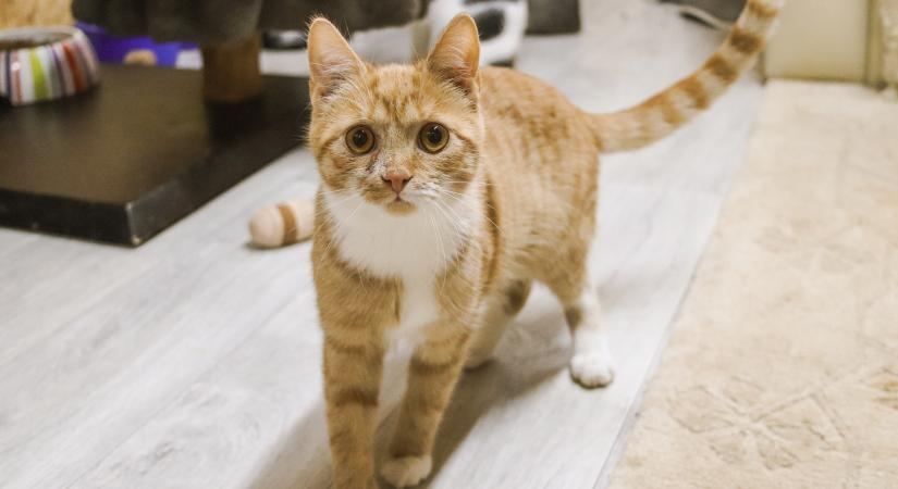 Lélekszauna a Bütyökben