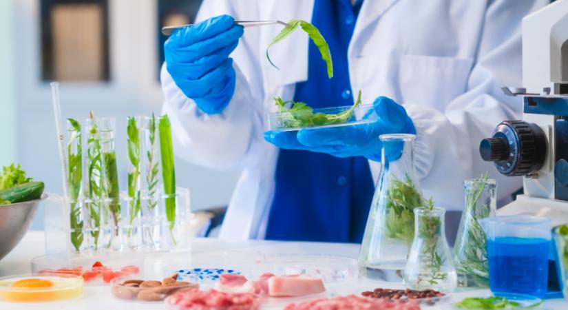 Kevesebb élelmiszer-hulladék – mesterséges intelligencia a konyhai fenntarthatóságért