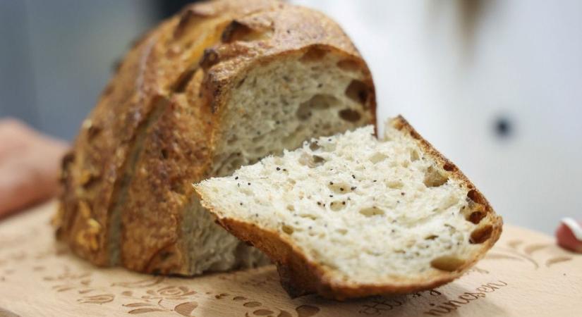 A kézműves minőségből nem engednek: újabb elismerés küszöbén áll egy vármegyei pékség