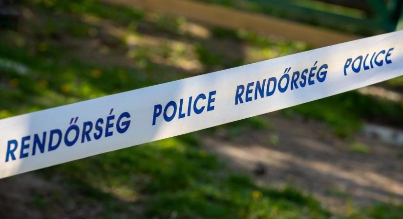 24 évvel ezelőtti szerelmi gyilkosság miatt vettek őrizetbe egy nőt és szeretőjét Veszprémben