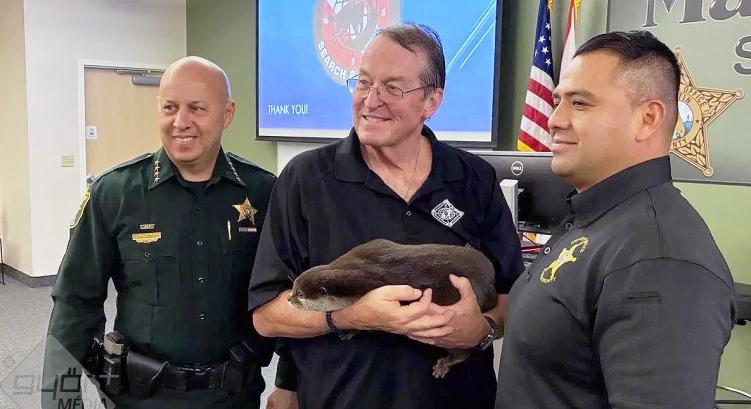 Víz alatti hős: egy szupervidra a rendőrség szolgálatában