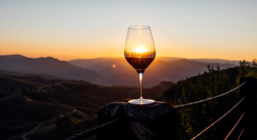 Frittmann János: ennyi eladó borászat soha nem volt, mint mostanában