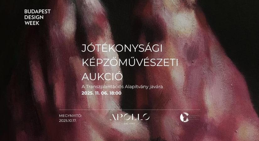 Rekordösszeg gyűlt össze – aukció a szervátültetett gyerekekért