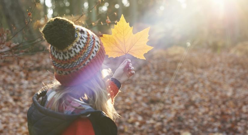 Őszi kirándulás a gyerekekkel: 51 szuper tanösvény Budapest közelében