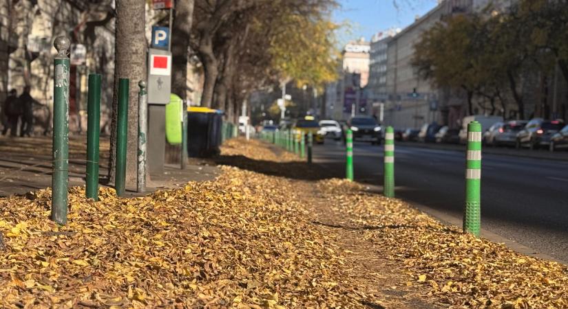 Levéltengerben úszik Budapest – Karácsony még az őszi takarítással is elakadt