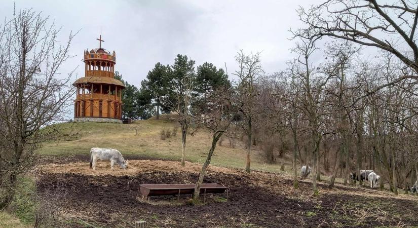 Ezen a borsodi kis településen is lesz borangolás
