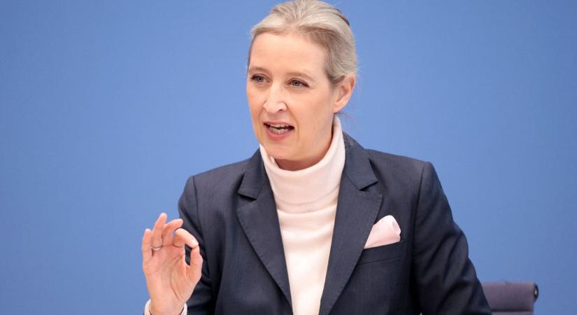 Az AfD törvényhozói Oroszországba utaznak, hogy találkozzanak Medvegyevvel