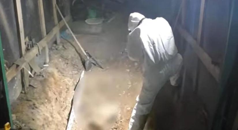 Emberi maradványok Devecsernél: 24 év után derült ki, hogyan öltek meg egy ajkai férfit ( videó)