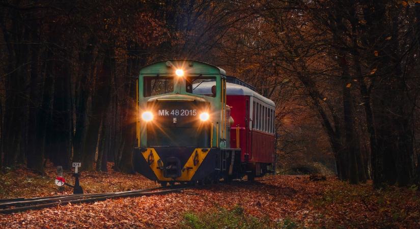 Mikulásjárat a Csömödéri Állami Erdei Vasúttal 2025