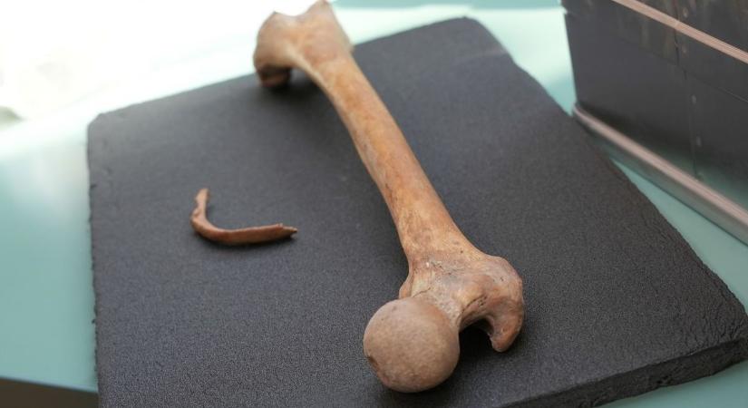 Hárman támadtak pengékkel az ország vezetőjének unokájára - most már biztos, hogy ő az