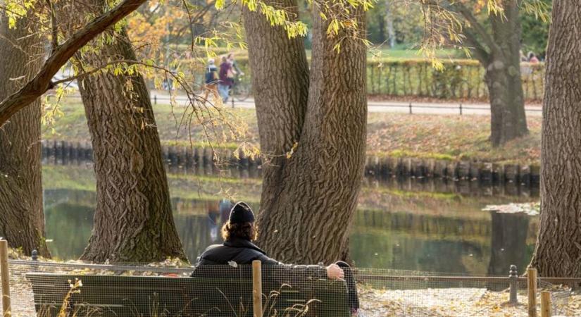 Hétvégi horoszkóp, amitől nem leszel bölcsebb – csak jobban szórakozol