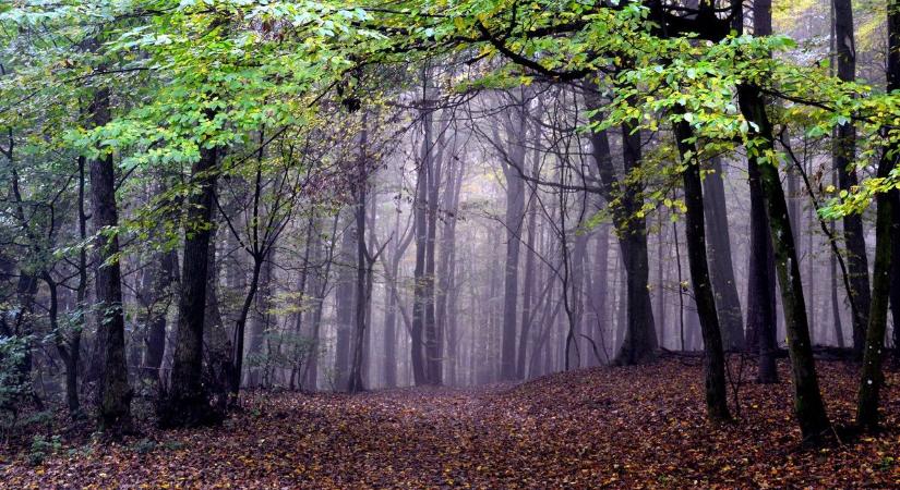 Főleg keleten eshet