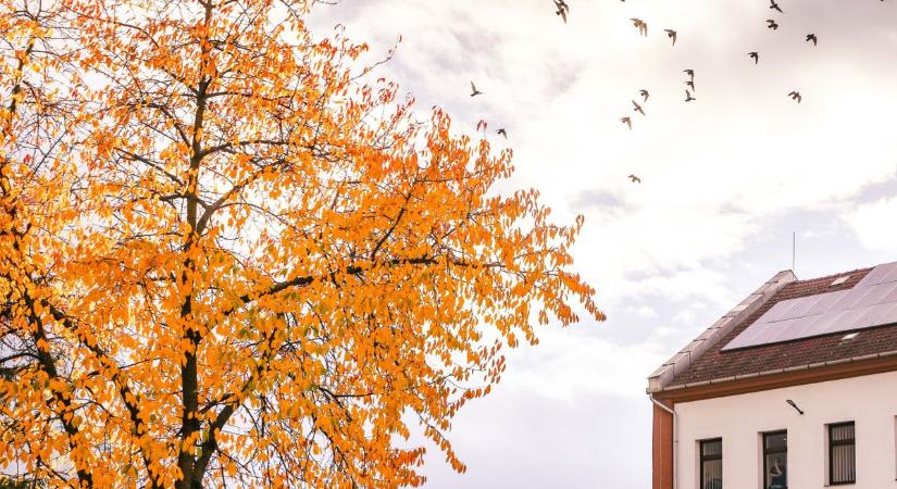 Friss levegő, élénk szél – lássuk, mit hoz még a holnap Borsod égboltja alatt!