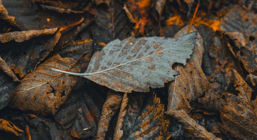 Borús reggel, napfényesebb délután – szombati időjárás